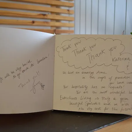 Entechnos Living Lägenhetshotell Megali Ammos (Skiathos)